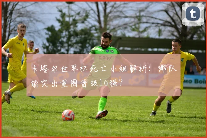 卡塔尔世界杯死亡小组解析:哪队能突出重围晋级16强?