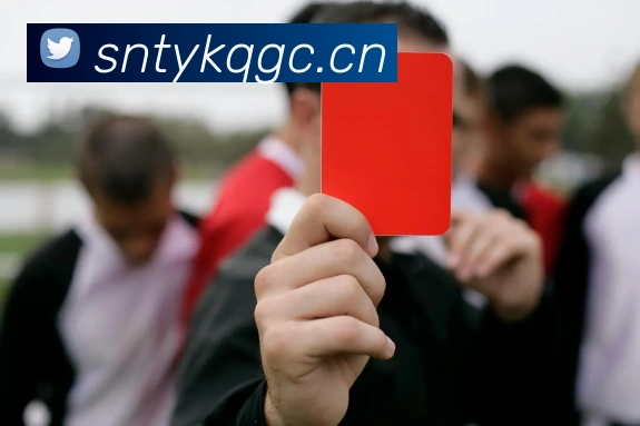 环球体育服务体系